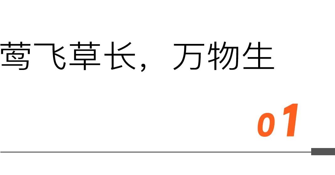 不可错过的「食品饮料行业」年终盛会！完整议程，正式发布！