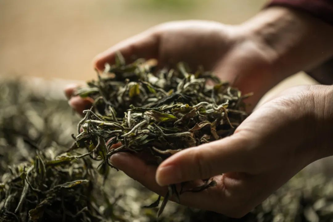 从霸王茶姬进长沙背后，看见三个茶饮新趋势