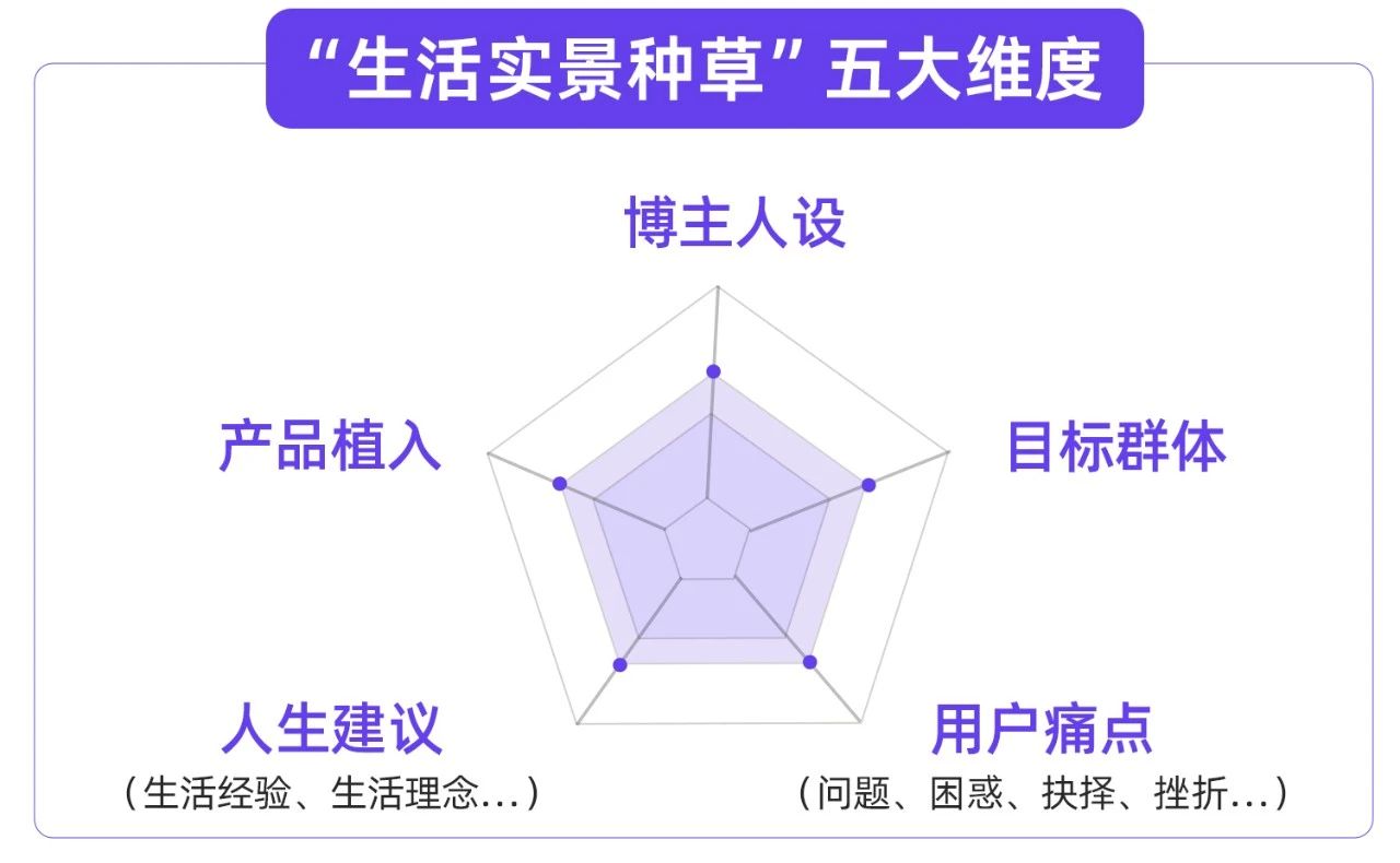 小红书爆款解读，内容种草易如反掌