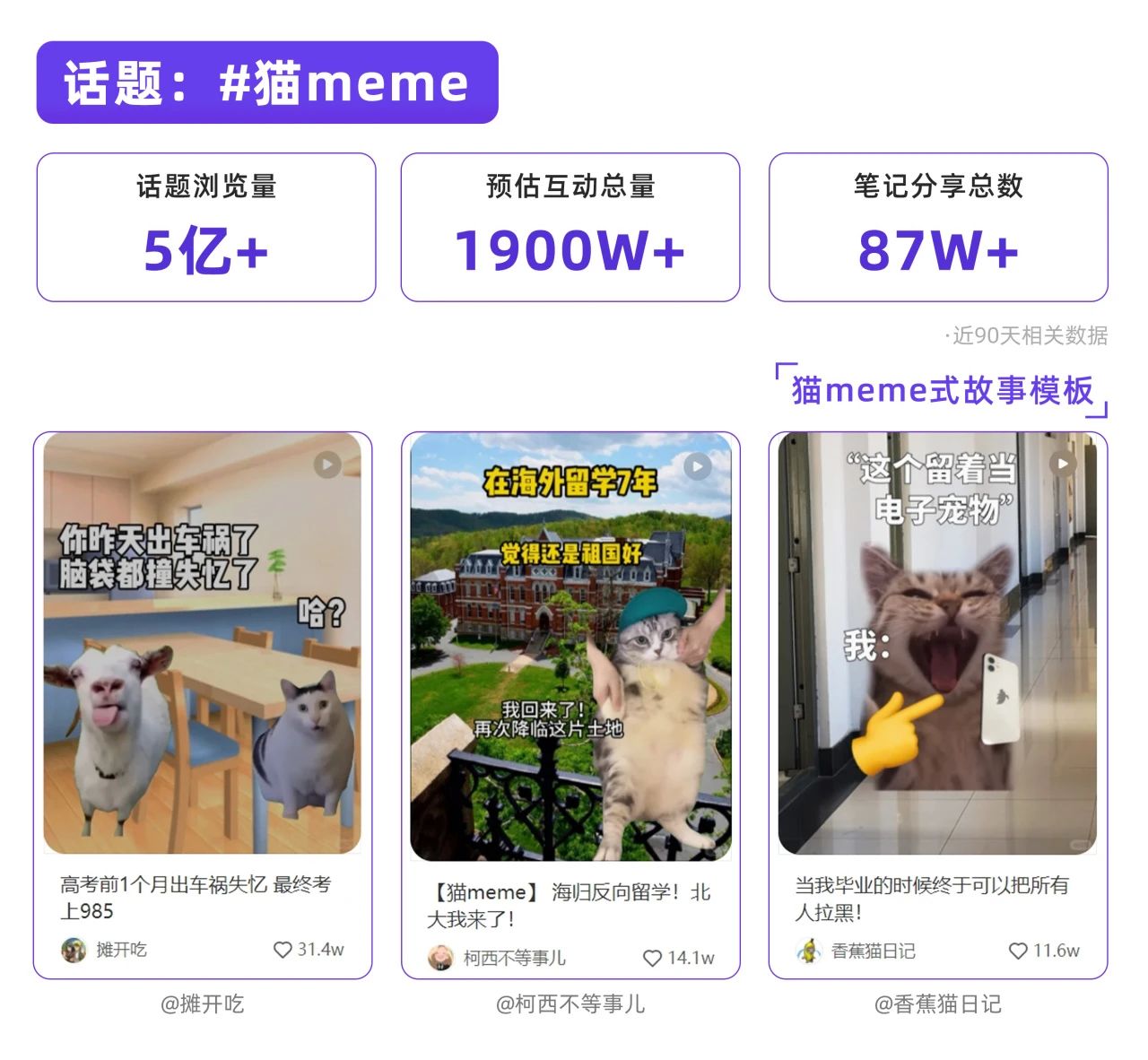 偷感、猫meme…捕捉小红书流量风口（第2季度）