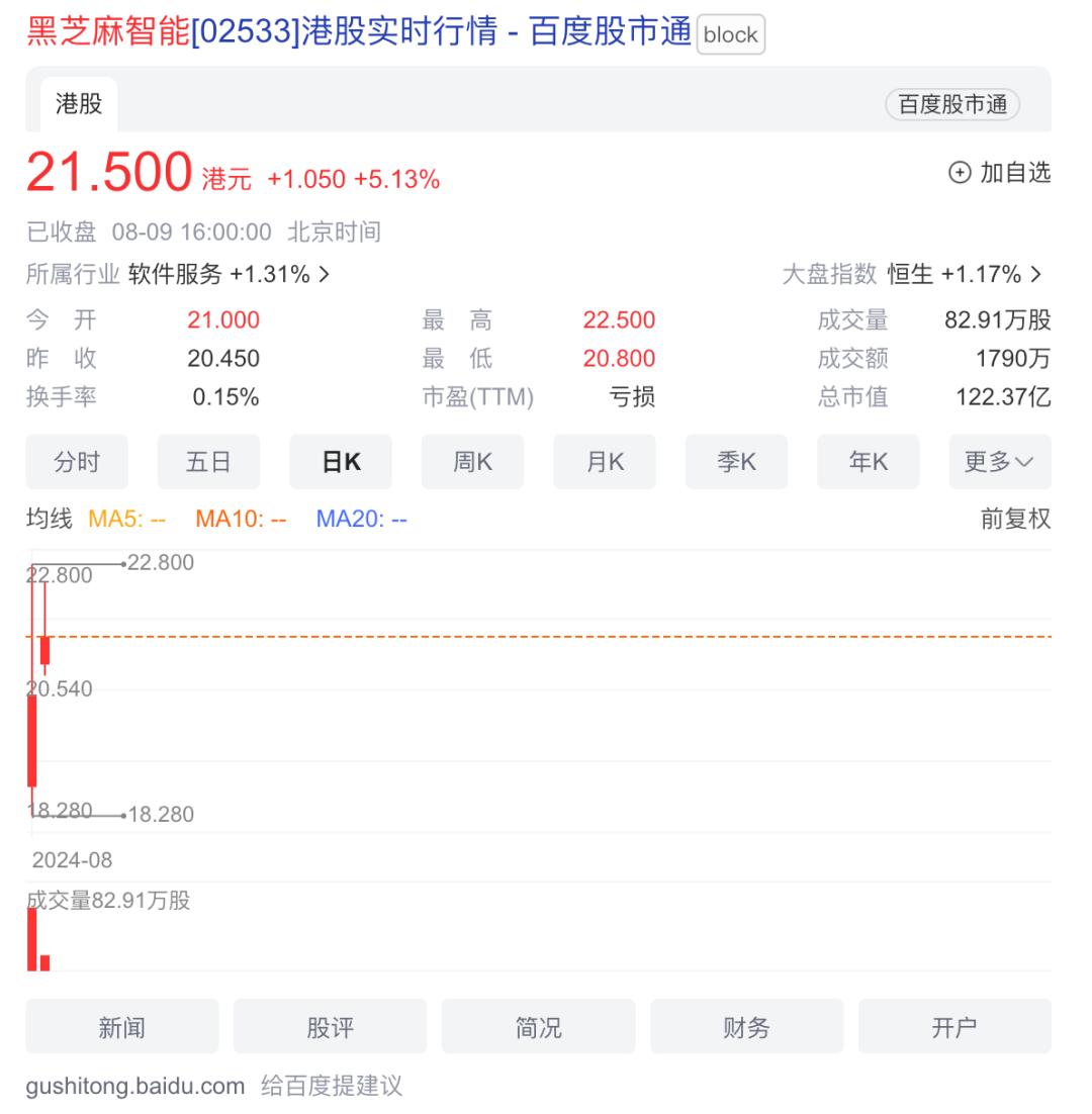 上市首日股价暴跌27%，黑芝麻智能为何不“性感”？