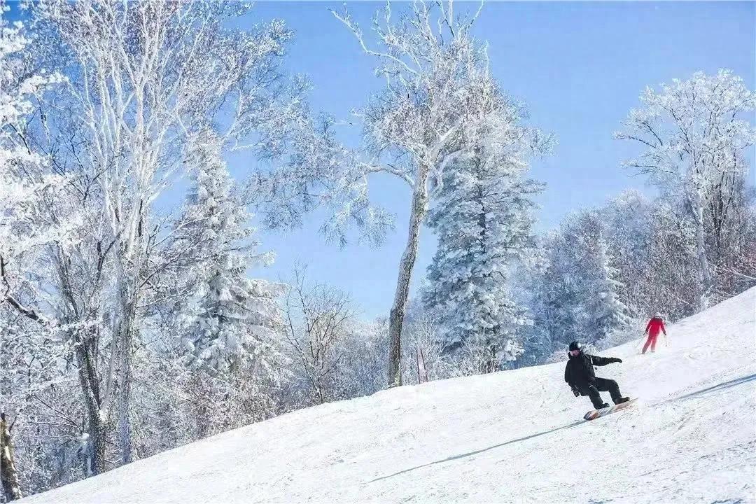 巩固“三亿人上冰雪”成果，吉林自己就能带超一个亿？