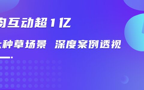 放下“流量焦虑”，小红书用户被什么治愈？