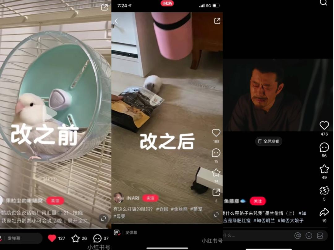 TikTok禁令引发的“难民潮”与小红书的逆袭