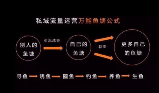 2019，为什么一定要做社交电商私域流量