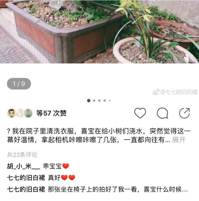 绿洲的评论框设计