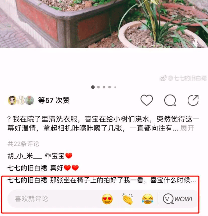 绿洲的评论框设计