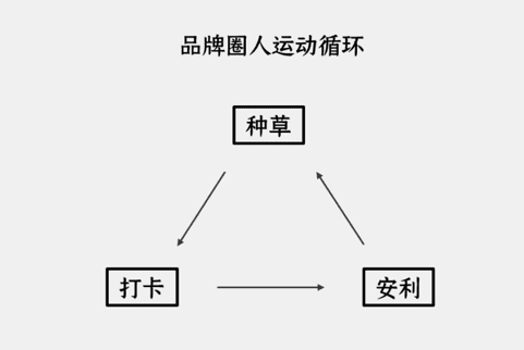 别指望“直男”做出一个能造梦的硬核网红品牌|CGO