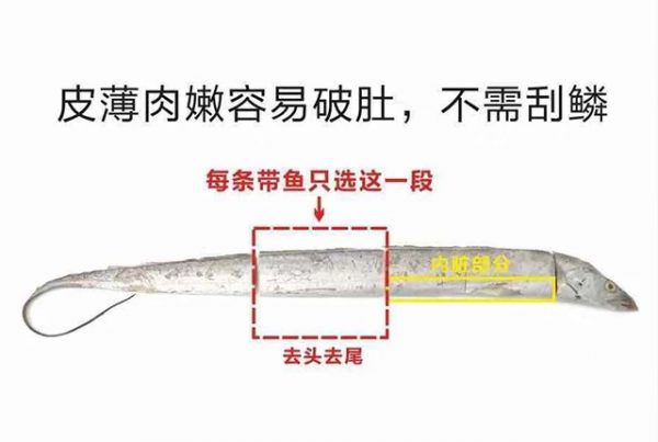 增长焦虑下的新流量洼地丨有好东西创始人陈郢