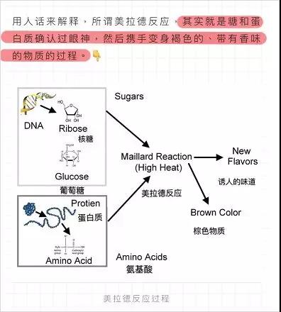 增长营销：内容硬核的美妆博主是如何炼成的