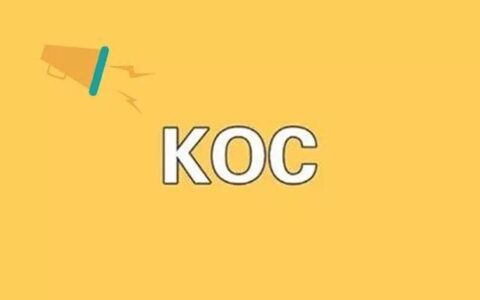 KOC当兴，私域流量崛起