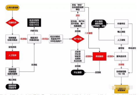 抖音号如何从0做起