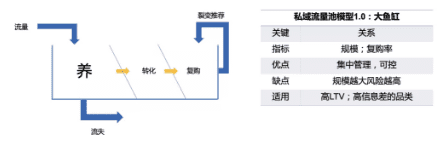 解析私域流量新“小鱼缸”玩法